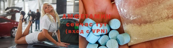молекула духа Бородино