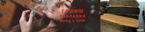 молекула духа Бородино