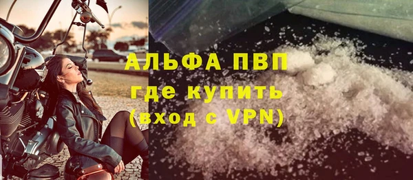 молекула духа Бородино