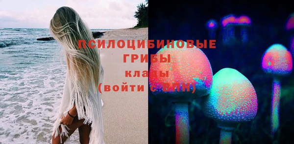 тгк Бронницы