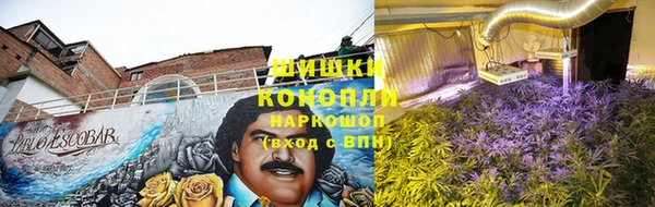 тгк Бронницы