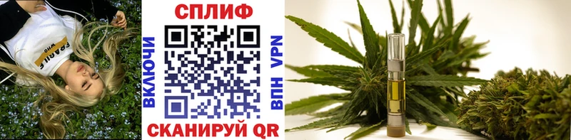 Каннабис THC 21%  Тосно 